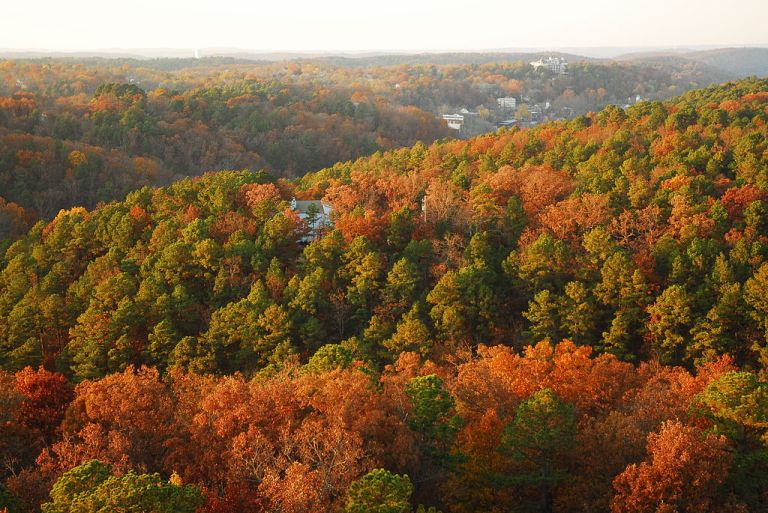 Photo: Photolitherland at English Wikipedia [CC BY-SA 3.0 (http://creativecommons.org/licenses/by-sa/3.0)], via Wikimedia Commons