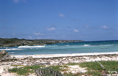 Photo: Donald E. Keith (Tarleton State University) [CC BY-SA 3.0 (http://creativecommons.org/licenses/by-sa/3.0)%5D, via Wikimedia Commons