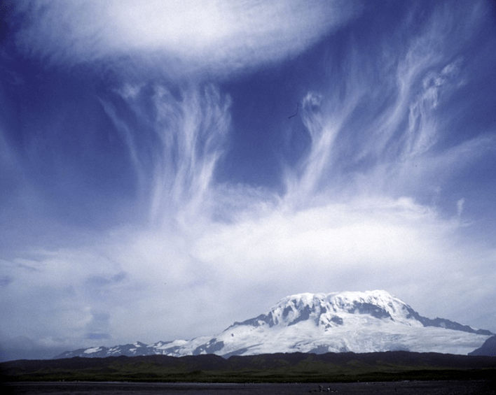 Photo: E. Woehler via heardisland.antarctica.gov.au