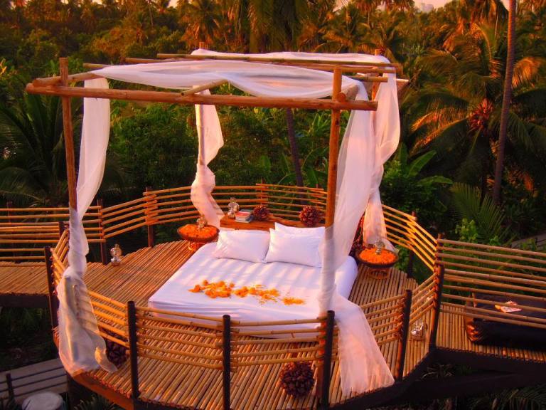 Photo: Bangkok Tree House