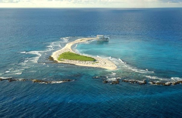 Photo: Veronidae [CC BY-SA 3.0 (http://creativecommons.org/licenses/by-sa/3.0), via Wikimedia Commons