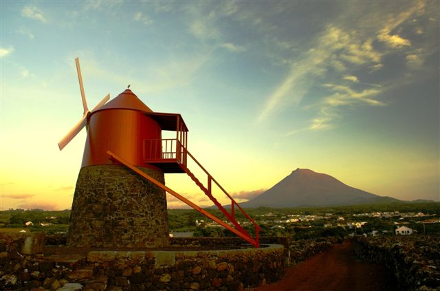 Photo: José Luís Ávila Silveira/Pedro Noronha e Costa (Own work) [Public domain], via Wikimedia Commons