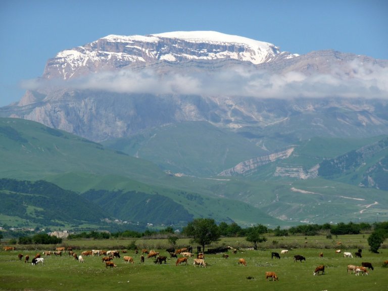 Photo: freemanentropy.com [CC BY-SA 3.0 (http://creativecommons.org/licenses/by-sa/3.0)%5D, via Wikimedia Commons