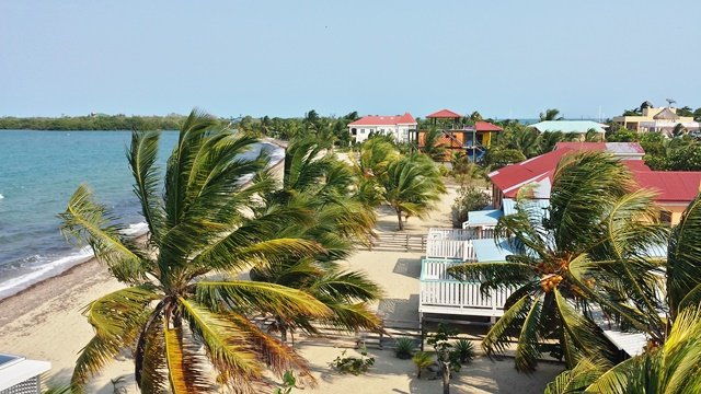 Photo: Naturalight Productions Ltd.