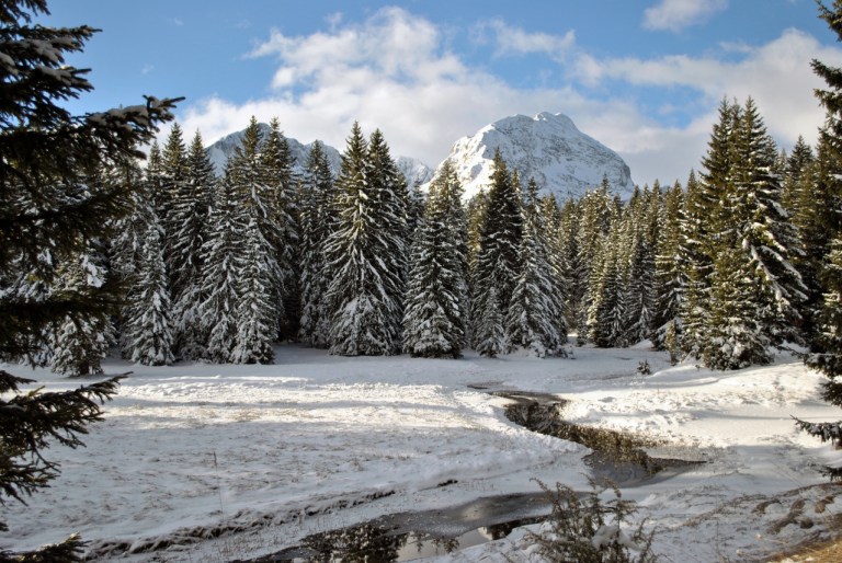 Photo: konikaori via freeimages.com