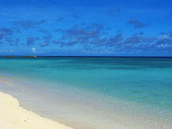 Photo: Japan Airlines