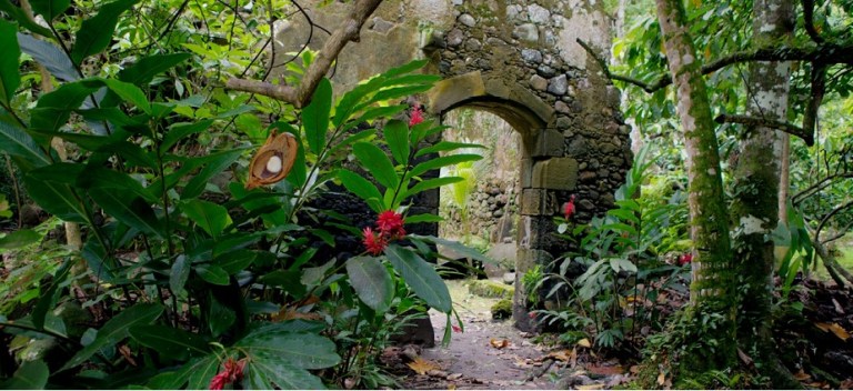 Photo: Bike St. Lucia