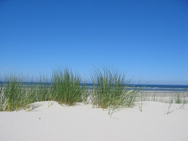 Photo: Andreas Ligtvoet via freeimages.com