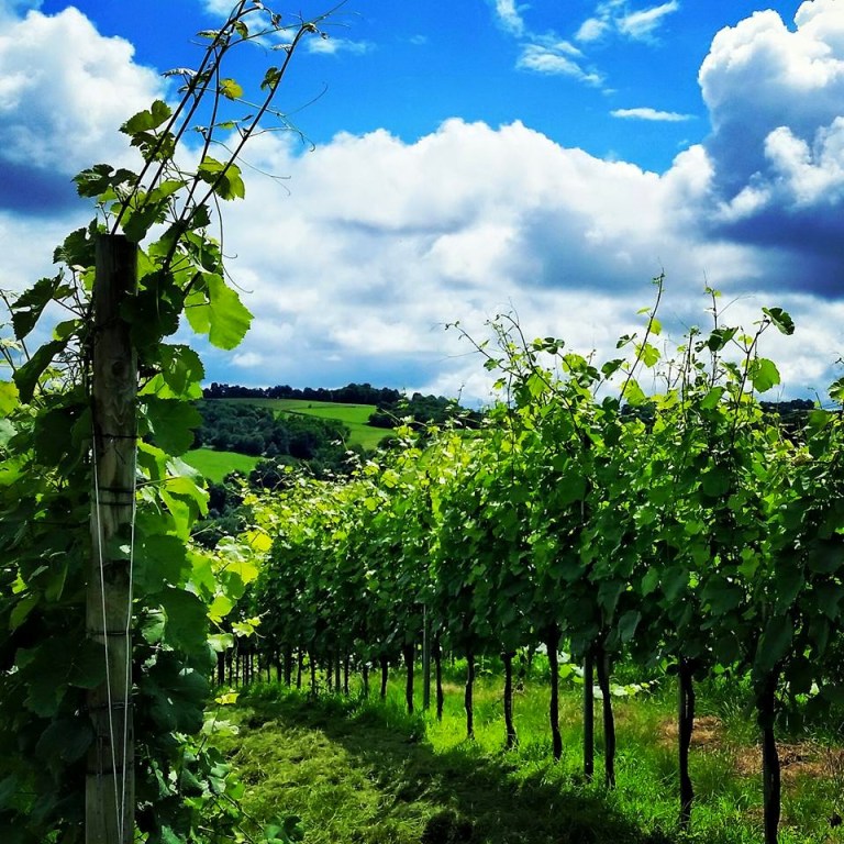 Photo: HillCrest Winery and Distillery