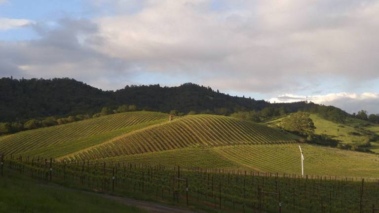 Photo: Abacela Winery & Vineyard