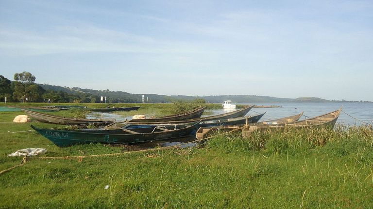 Photo: Faintsmoke (Own work) [CC BY-SA 4.0 (http://creativecommons.org/licenses/by-sa/4.0)], via Wikimedia Commons