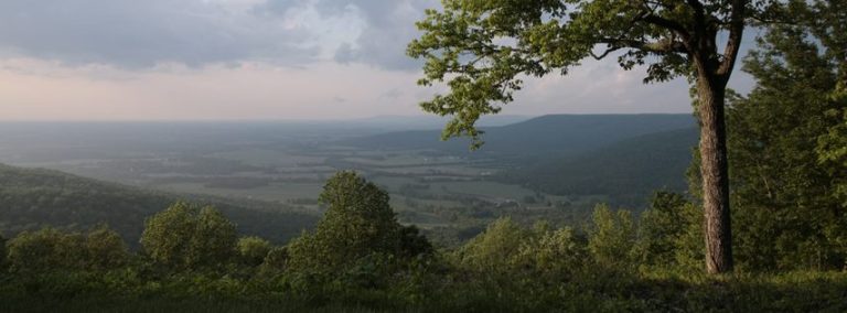 Photo: The Sewanee Inn