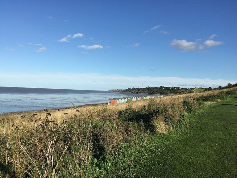 Photo: Chelb (Own work) [CC BY-SA 4.0 (http://creativecommons.org/licenses/by-sa/4.0)], via Wikimedia Commons