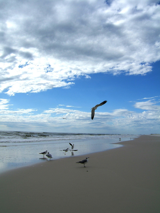 Photo: Garret Voight via freeimages.com