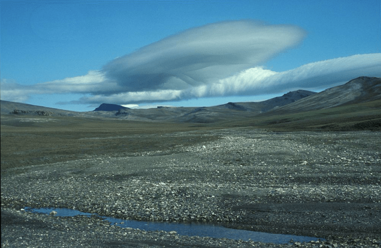 Photo: Butorin (Own work) [CC BY-SA 4.0 (http://creativecommons.org/licenses/by-sa/4.0)], via Wikimedia Commons