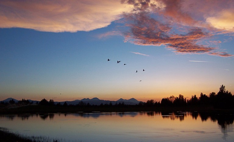 Photo: The Oxford Hotel