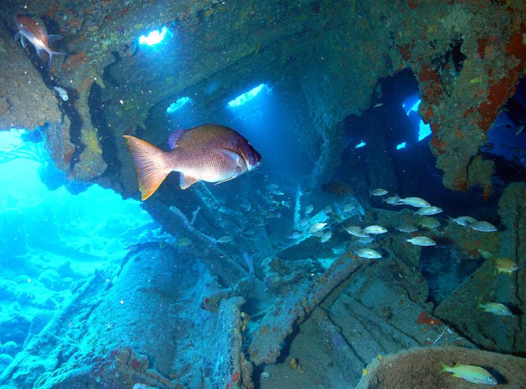 Photo: Laiduan uk (Own work) [Public domain], via Wikimedia Commons