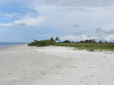 Photo: Embassy of the Republic of Equatorial Guinea