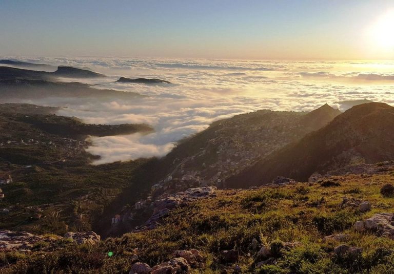 Photo: Warwick Hotels and Resorts