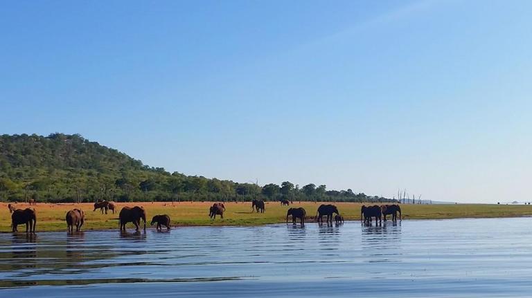 Photo: Bumi Hills Safari Lodge