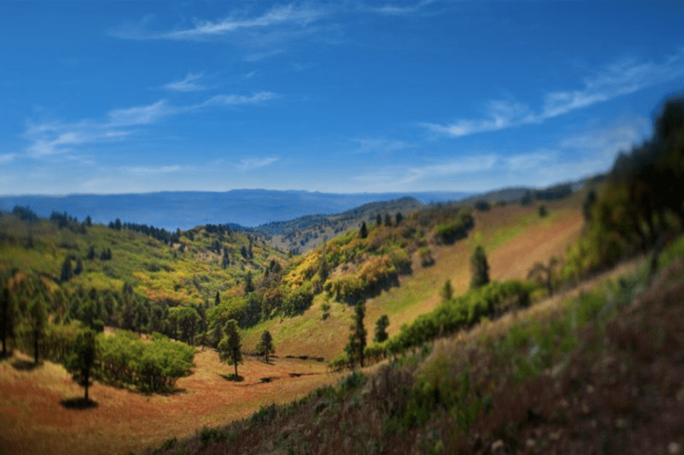 Photo: Inn of the Mountain Gods Resort Casino