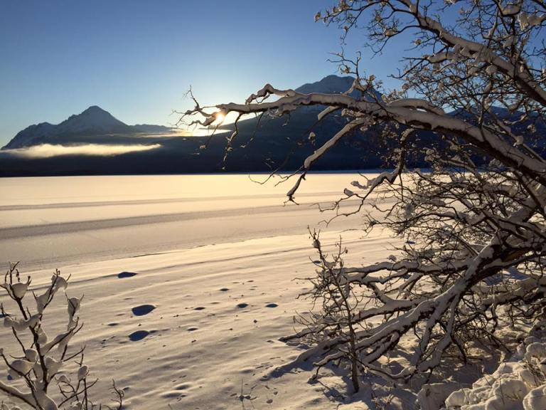Photo: Tagish Wilderness Lodge