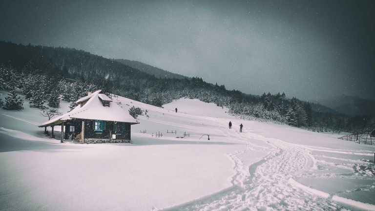 Photo: Hotel Palisad