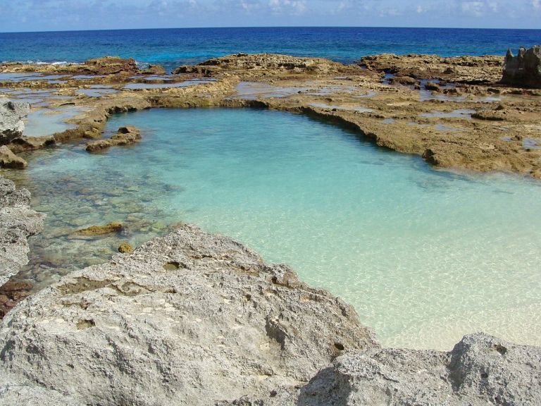 Photo: menma1/2 [CC BY 3.0 (http://creativecommons.org/licenses/by/3.0)], via Wikimedia Commons